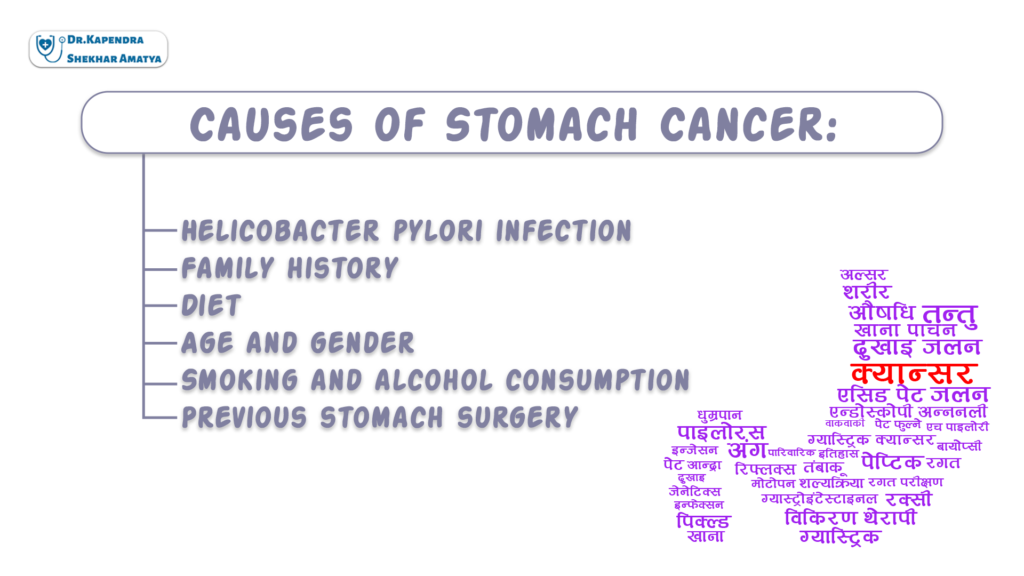 Causes of Stomach Cancer: